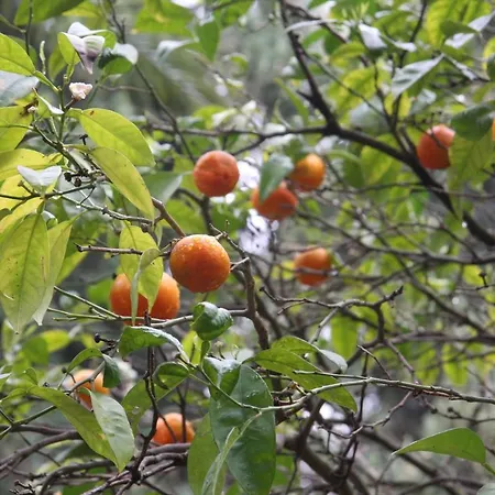 Apartment Seaside Vista Terrace: Panoramic Costa Del Sol Retreat *