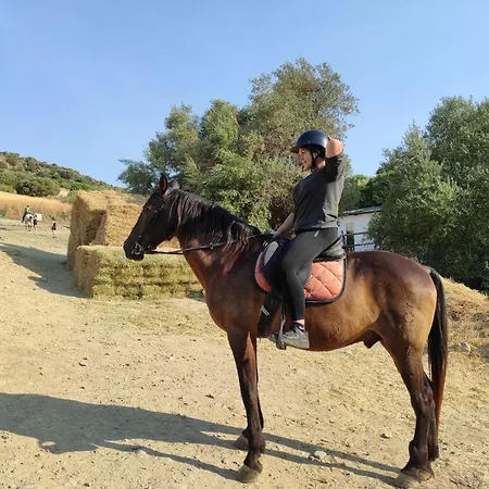 Lejlighed Stunning Unobstructed 180 Degree Sea View With 100 Square Meters Terrace - Costa Del Sol - Estepona- Long Term