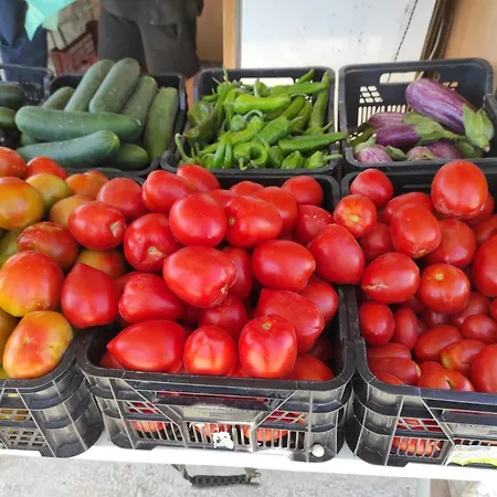 Seaside Vista Terrace: Panoramic Costa Del Sol Retreat * Estepona