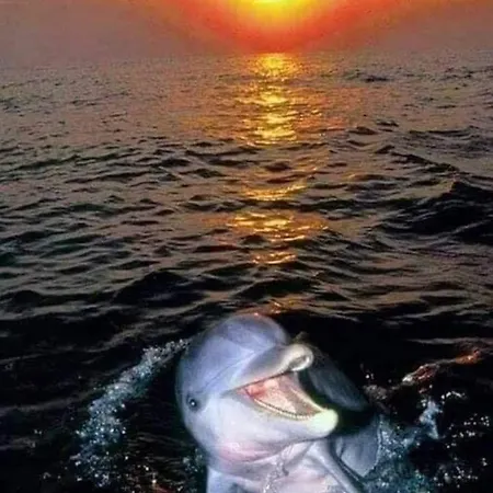 Seaside Vista Terrace: Panoramic Costa Del Sol Retreat *