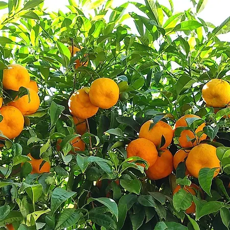 Seaside Vista Terrace: Panoramic Costa Del Sol Retreat Apartment *