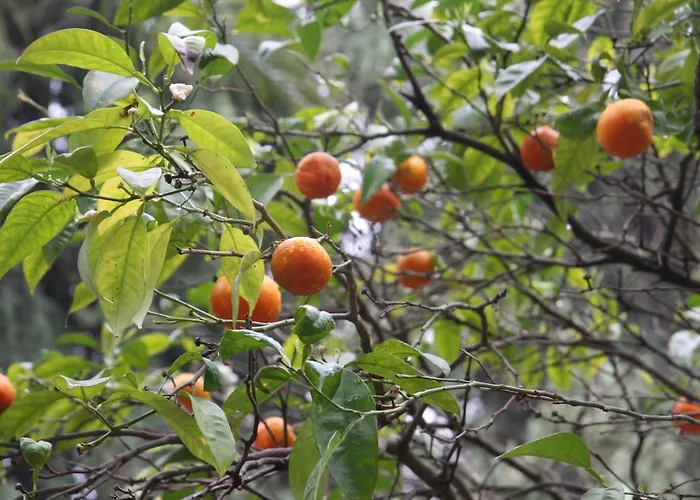 شقة Stunning Unobstructed 180 Degree Sea View With 100 Square Meters Terrace - Costa Del Sol - Estepona- Long Term *