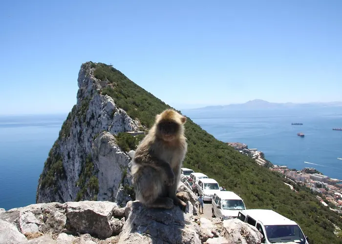 Stunning Unobstructed 180 Degree Sea View With 100 Square Meters Terrace - Costa Del Sol - Estepona- Long Term شقة *