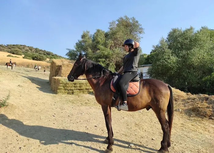 Apartamento Stunning Unobstructed 180 Degree Sea View With 100 Square Meters Terrace - Costa Del Sol - Estepona- Long Term