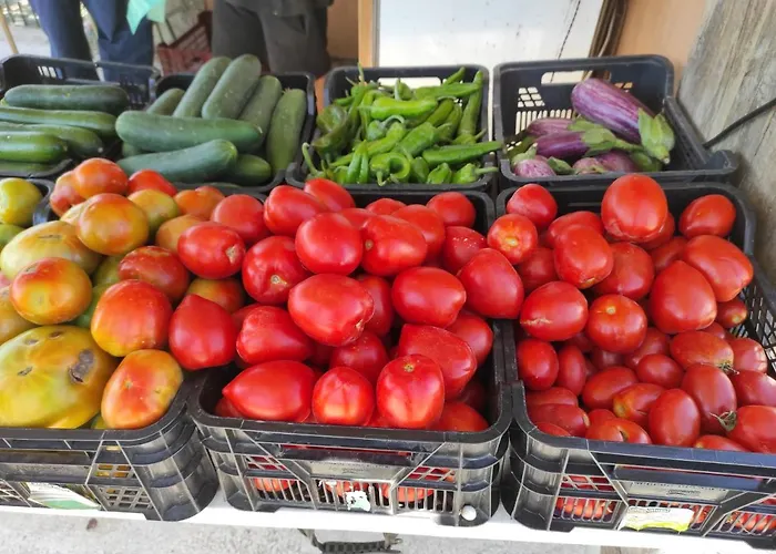 Stunning Unobstructed 180 Degree Sea View With 100 Square Meters Terrace - Costa Del Sol - Estepona- Long Term * إِستيبونا